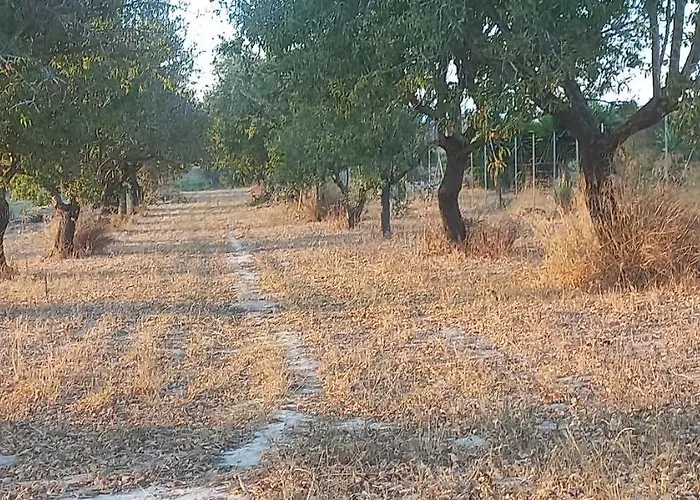 בית נופש Almademari Giglio Casa *